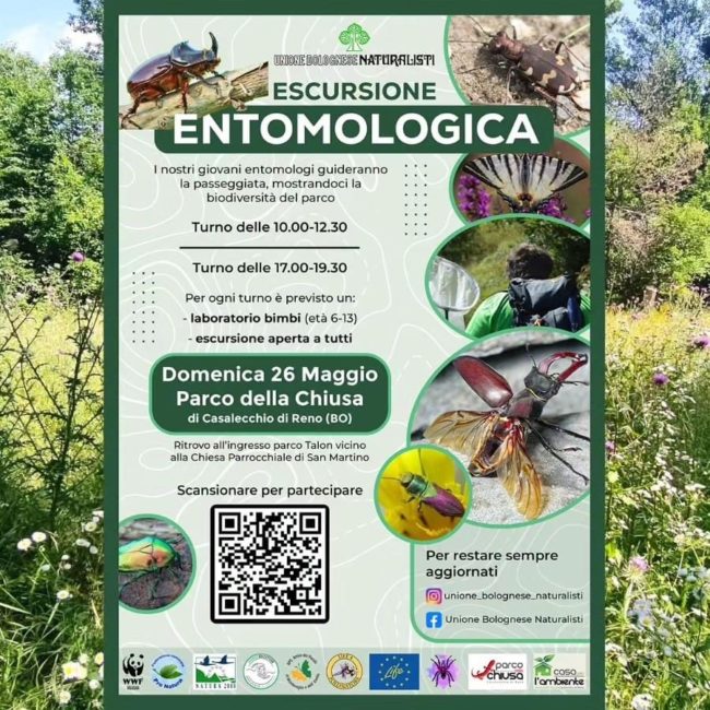 Escursione Entomologica