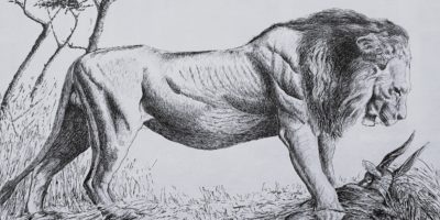 Leone