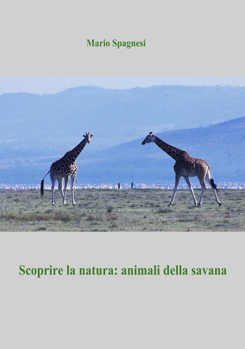 Copertina articolo-1