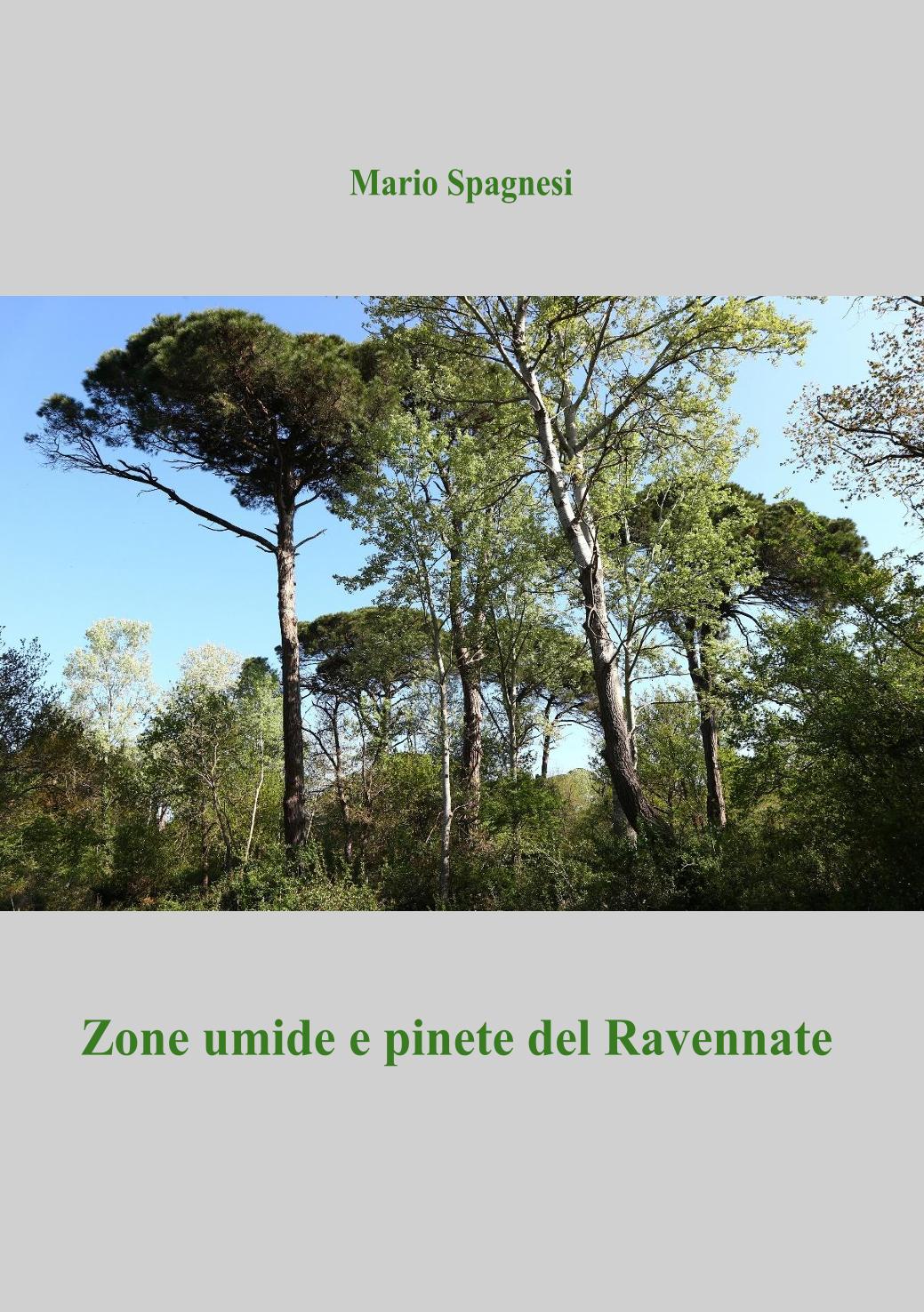 Copertina articolo-1