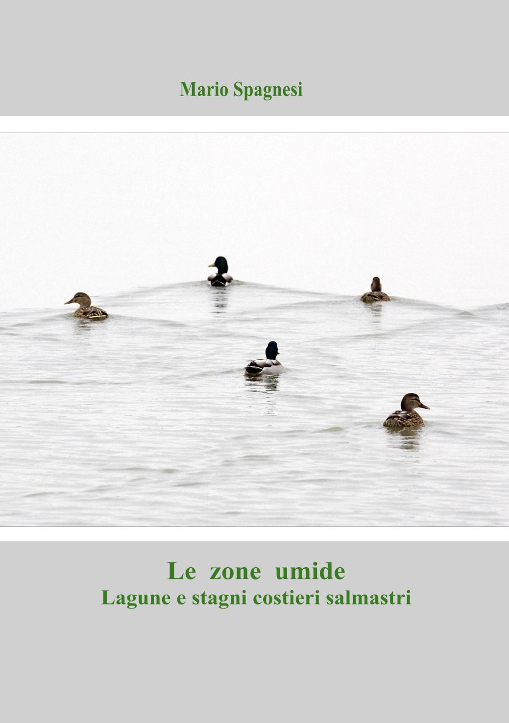 Copertina articolo-1