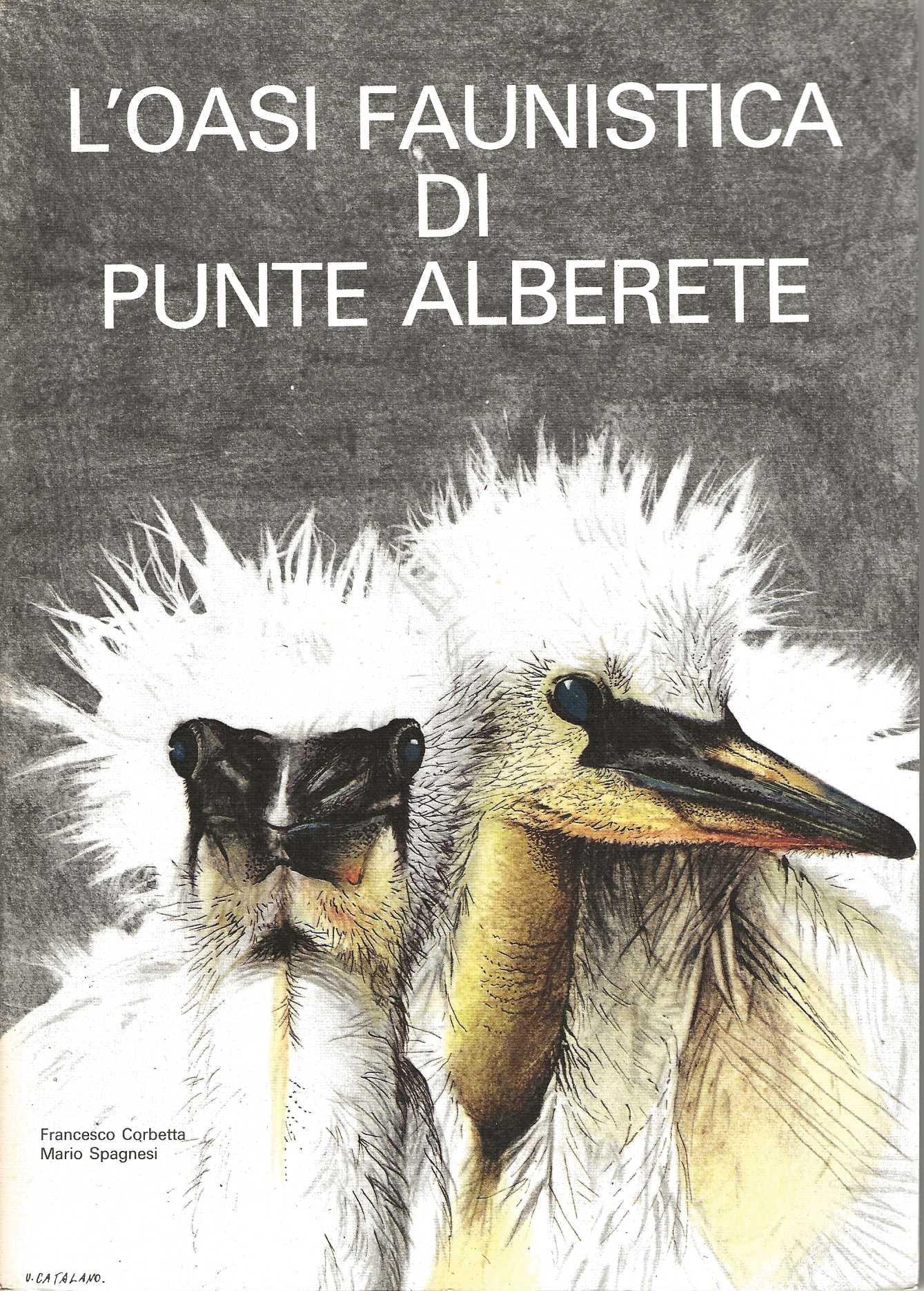 0 Copertina