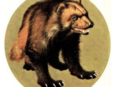 Ghiottone