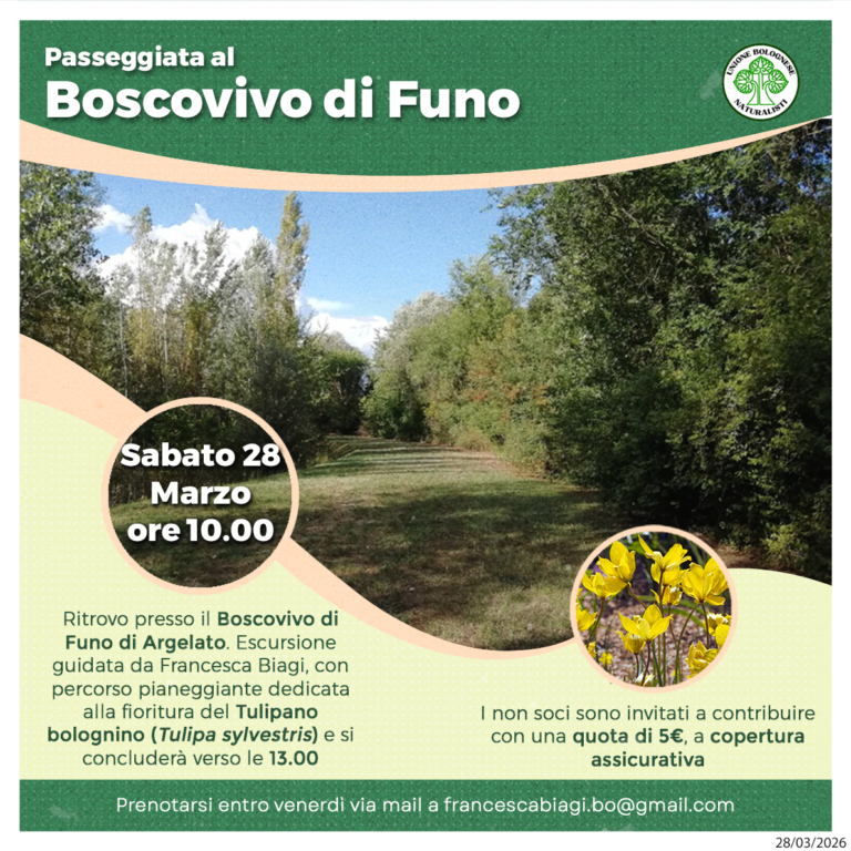 Boscovivo_Funo_28_03