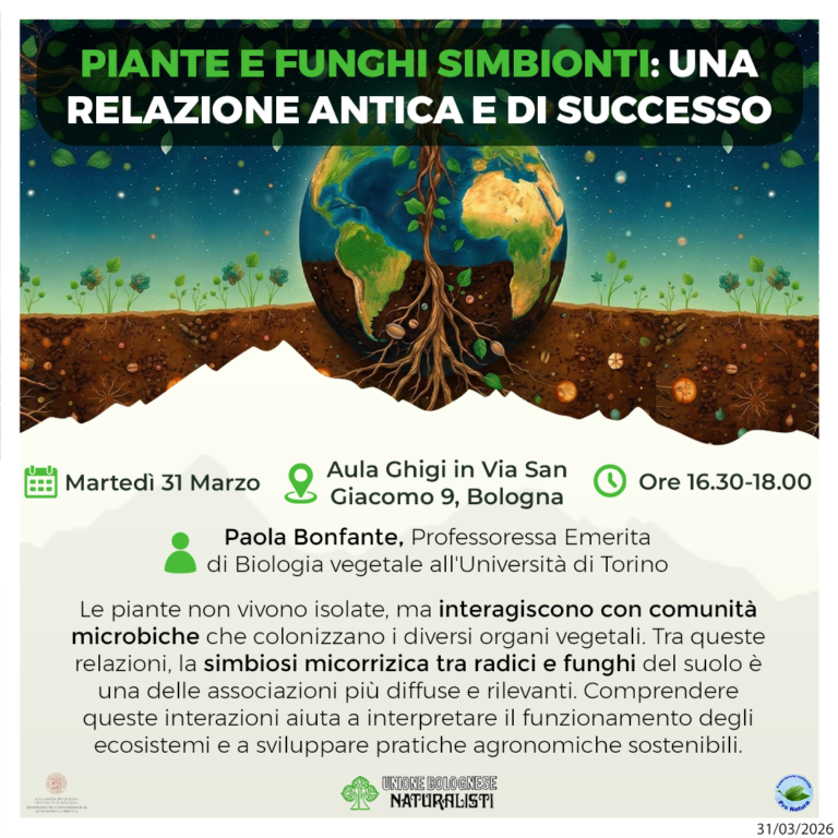 P_Bonfante_31-03-2026